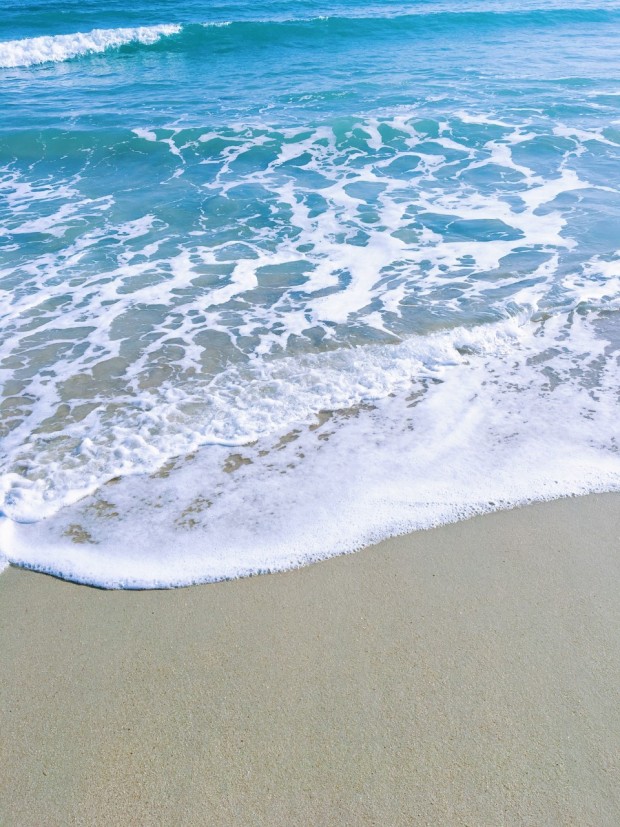 페퍼저축은행_기타